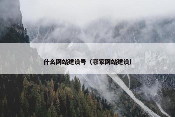 什么网站建设号（哪家网站建设）