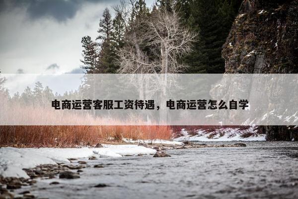 电商运营客服工资待遇，电商运营怎么自学