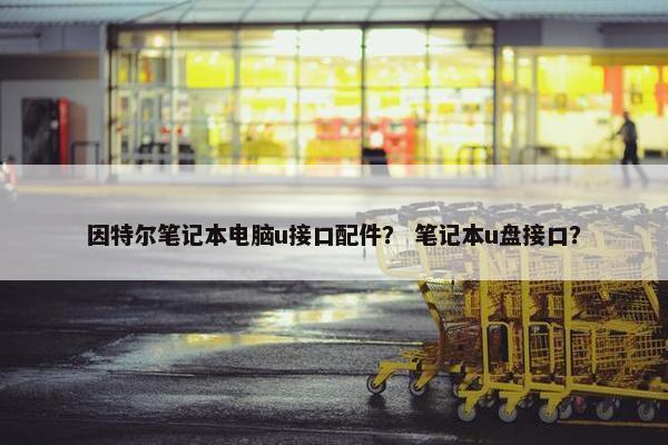 因特尔笔记本电脑u接口配件？ 笔记本u盘接口？