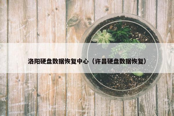 洛阳硬盘数据恢复中心（许昌硬盘数据恢复）