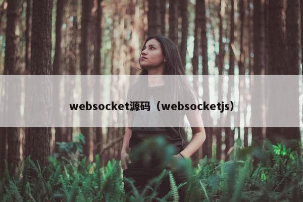 websocket源码（websocketjs）