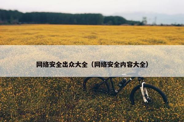 网络安全出众大全（网络安全内容大全）