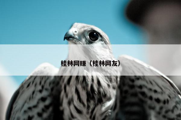 桂林网赚（桂林网友）