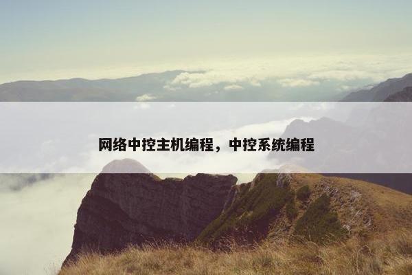网络中控主机编程，中控系统编程