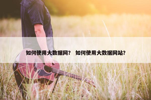 如何使用大数据网？ 如何使用大数据网站？