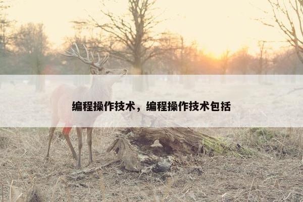 编程操作技术，编程操作技术包括