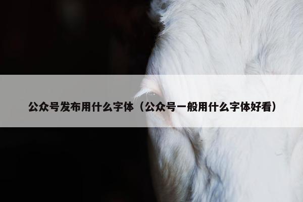 公众号发布用什么字体（公众号一般用什么字体好看）