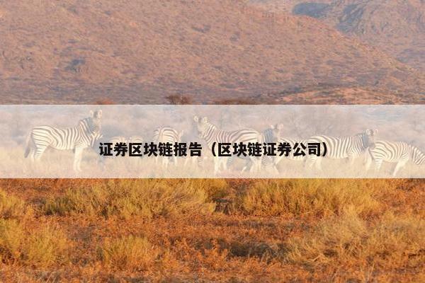 证券区块链报告（区块链证券公司）