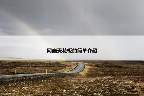 网赚天花板的简单介绍