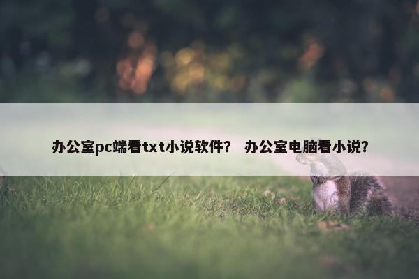 办公室pc端看txt小说软件？ 办公室电脑看小说？