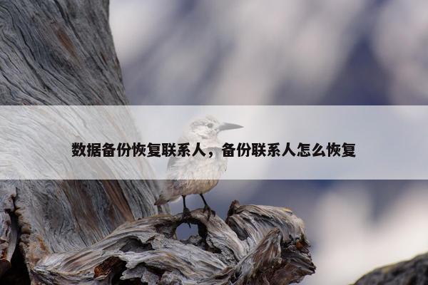 数据备份恢复联系人，备份联系人怎么恢复