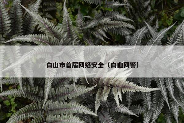 白山市首届网络安全（白山网警）