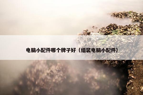 电脑小配件哪个牌子好（组装电脑小配件）