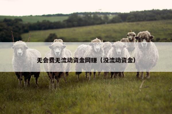 无会费无流动资金网赚（没流动资金）