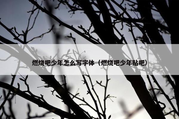 燃烧吧少年怎么写字体（燃烧吧少年贴吧）