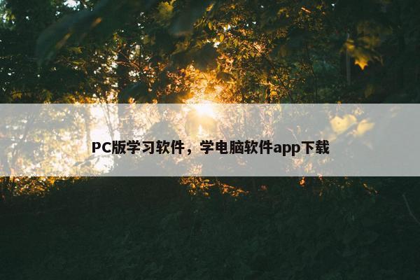 PC版学习软件，学电脑软件app下载