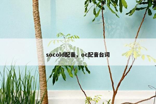 socold配音，oc配音台词
