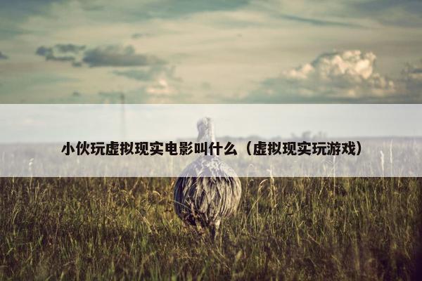 小伙玩虚拟现实电影叫什么（虚拟现实玩游戏）