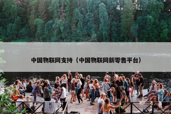中国物联网支持（中国物联网新零售平台）
