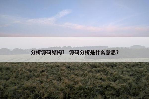 分析源码结构？ 源码分析是什么意思？