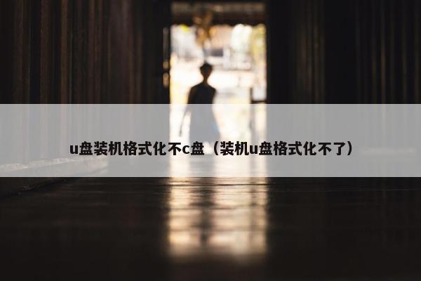 u盘装机格式化不c盘（装机u盘格式化不了）