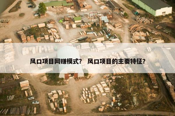 风口项目网赚模式？ 风口项目的主要特征？