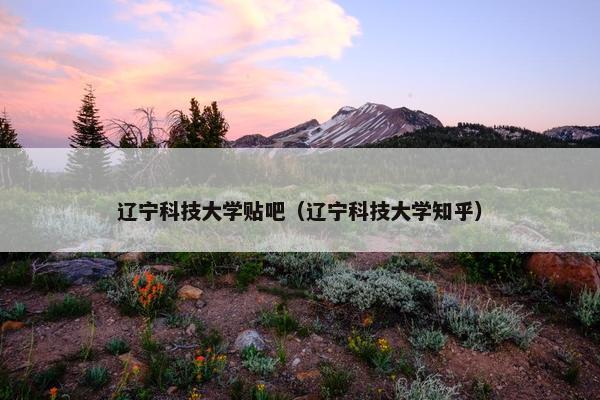辽宁科技大学贴吧（辽宁科技大学知乎）