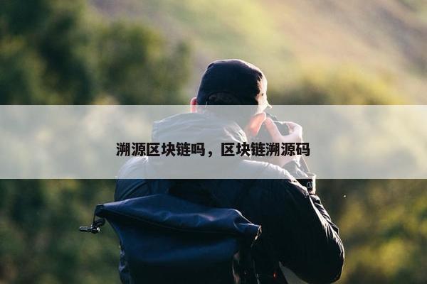 溯源区块链吗，区块链溯源码