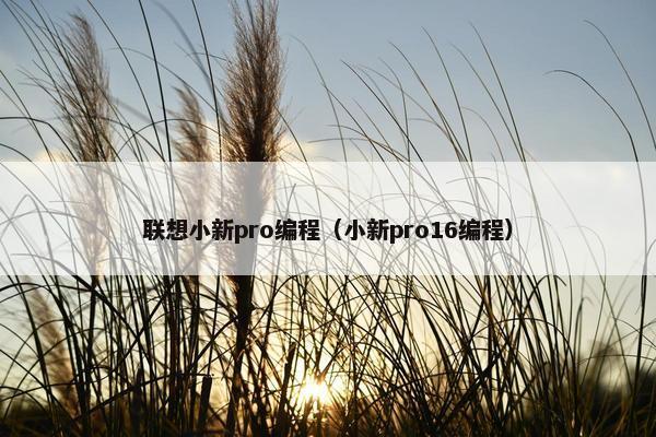 联想小新pro编程（小新pro16编程）