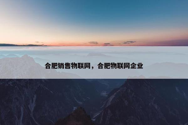 合肥销售物联网，合肥物联网企业