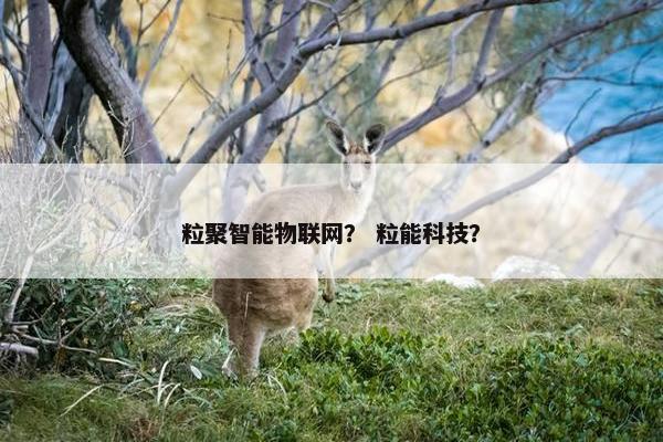 粒聚智能物联网？ 粒能科技？