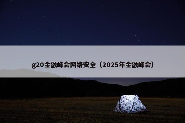 g20金融峰会网络安全（2025年金融峰会）
