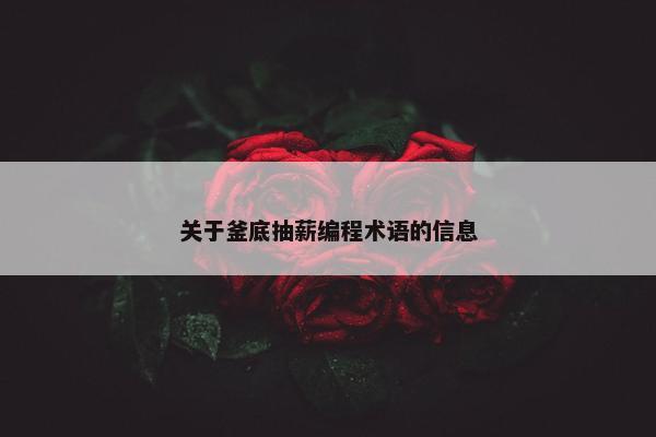 关于釜底抽薪编程术语的信息