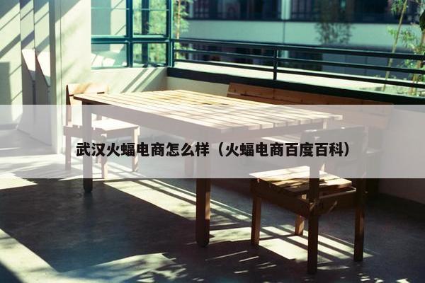 武汉火蝠电商怎么样（火蝠电商百度百科）