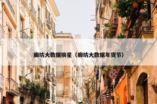 廊坊大数据摘星（廊坊大数据年货节）