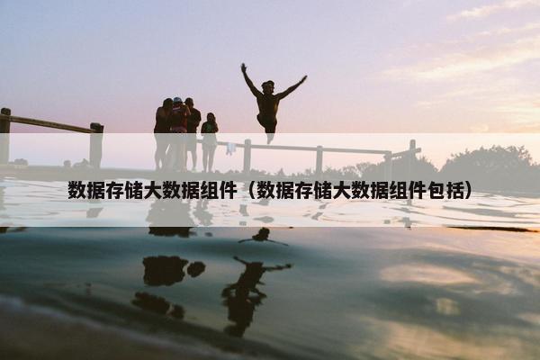 数据存储大数据组件（数据存储大数据组件包括）