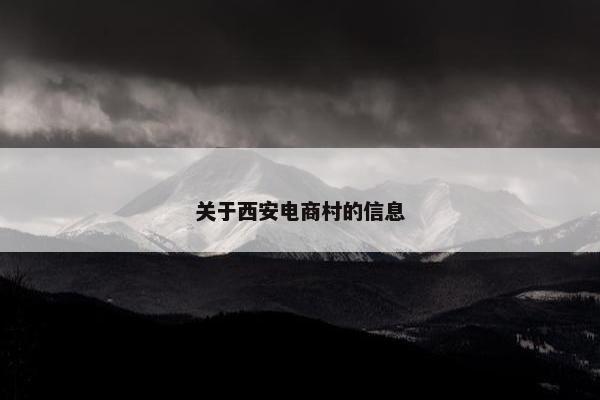 关于西安电商村的信息
