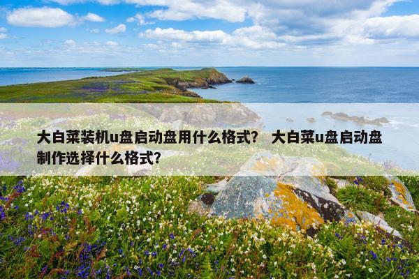 大白菜装机u盘启动盘用什么格式？ 大白菜u盘启动盘制作选择什么格式？
