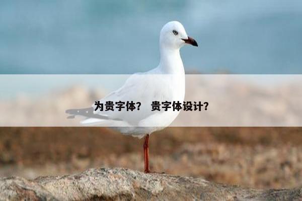 为贵字体？ 贵字体设计？