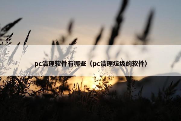 pc清理软件有哪些（pc清理垃圾的软件）