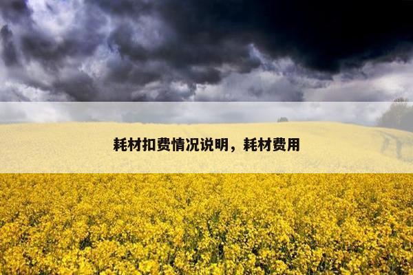 耗材扣费情况说明，耗材费用