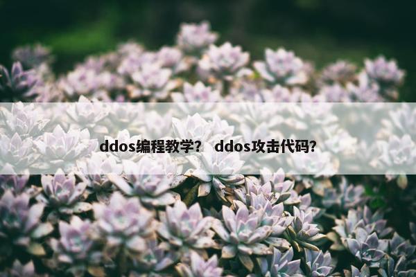 ddos编程教学？ ddos攻击代码？