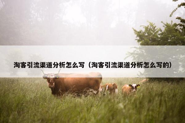 淘客引流渠道分析怎么写（淘客引流渠道分析怎么写的）