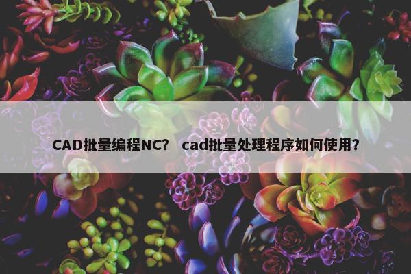 CAD批量编程NC？ cad批量处理程序如何使用？