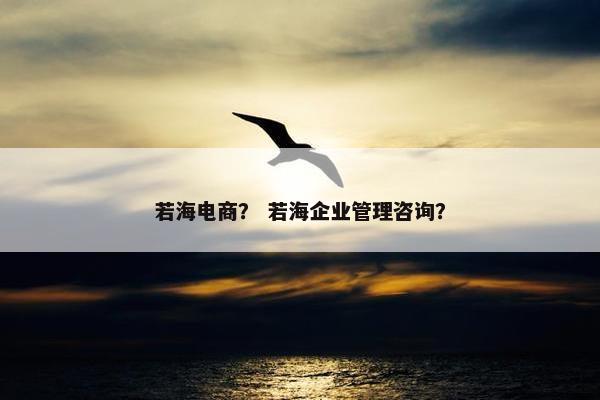 若海电商？ 若海企业管理咨询？