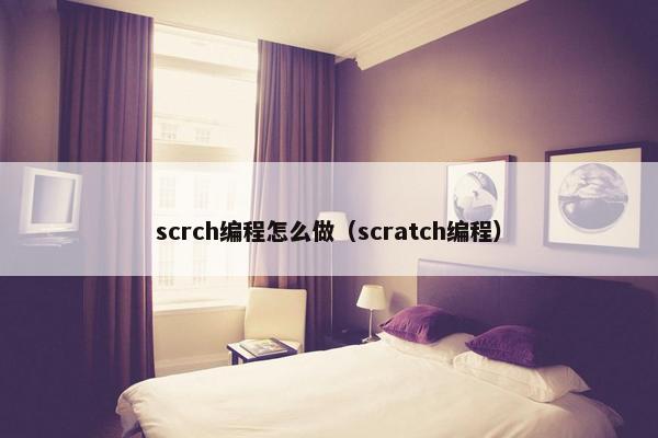 scrch编程怎么做（scratch编程）