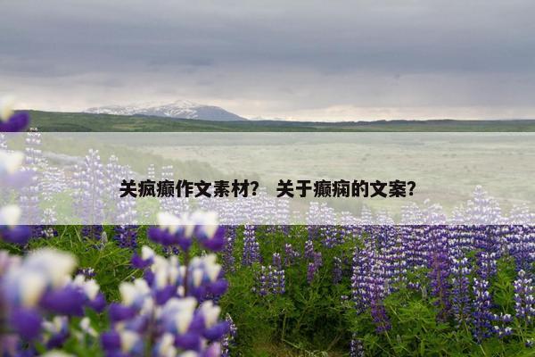 关疯癫作文素材？ 关于癫痫的文案？