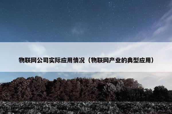物联网公司实际应用情况（物联网产业的典型应用）