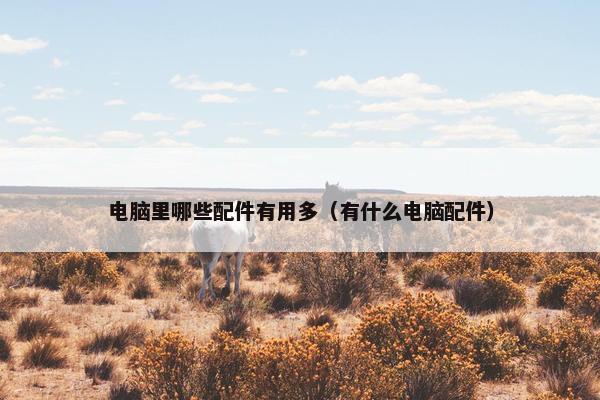 电脑里哪些配件有用多（有什么电脑配件）