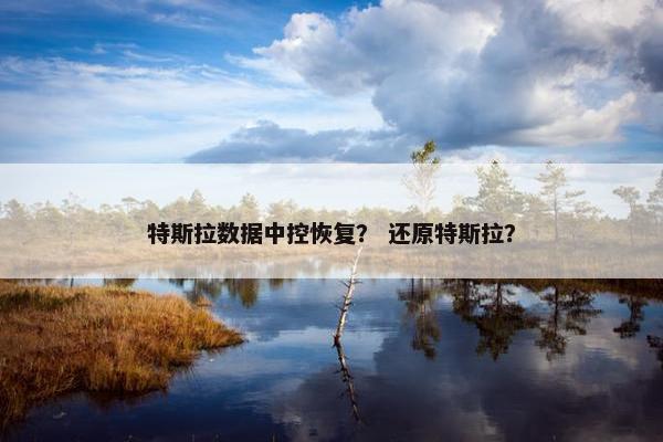 特斯拉数据中控恢复？ 还原特斯拉？